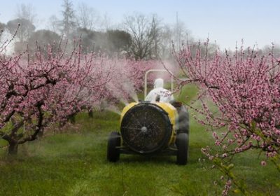 Chartes d’épandage de pesticides à proximité des habitations : saison II
